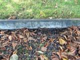 image of grave number 583332